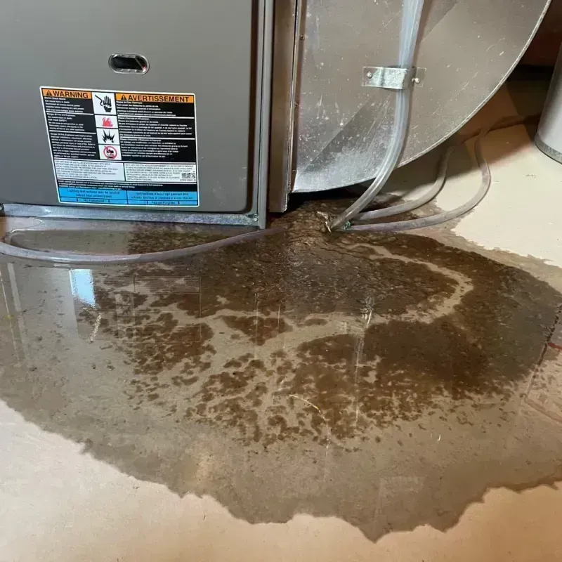 Appliance Leak Cleanup in Grand Meadow, MN